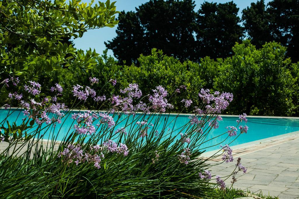 Chiusa Di Carlo Agriturismo อาโวลา ภายนอก รูปภาพ